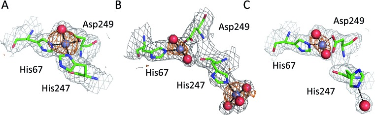 Fig. 3