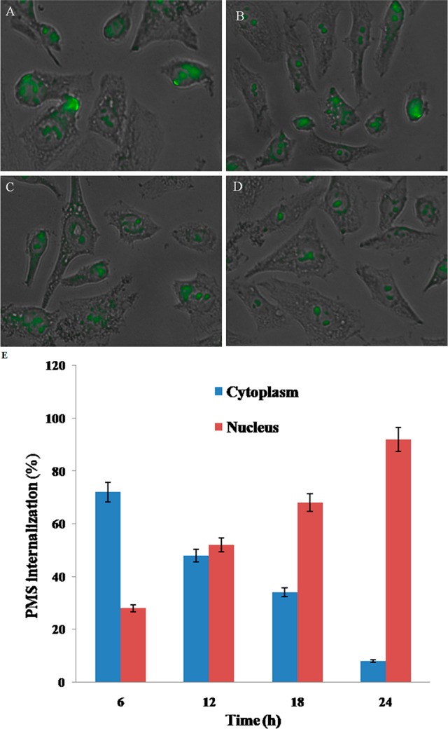 Figure 5