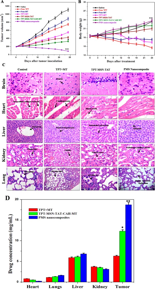 Figure 11