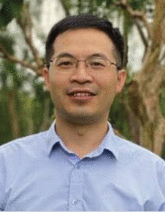 graphic file with name ADVS-10-2205031-g011.gif