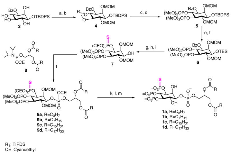 Scheme 1