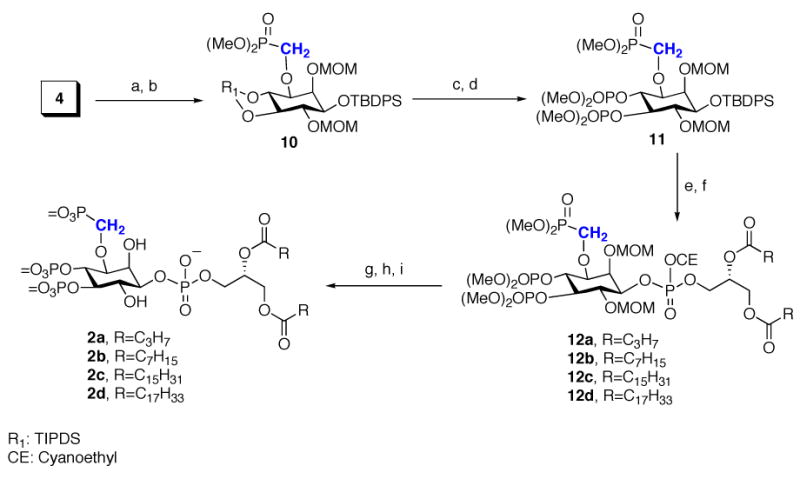 Scheme 2