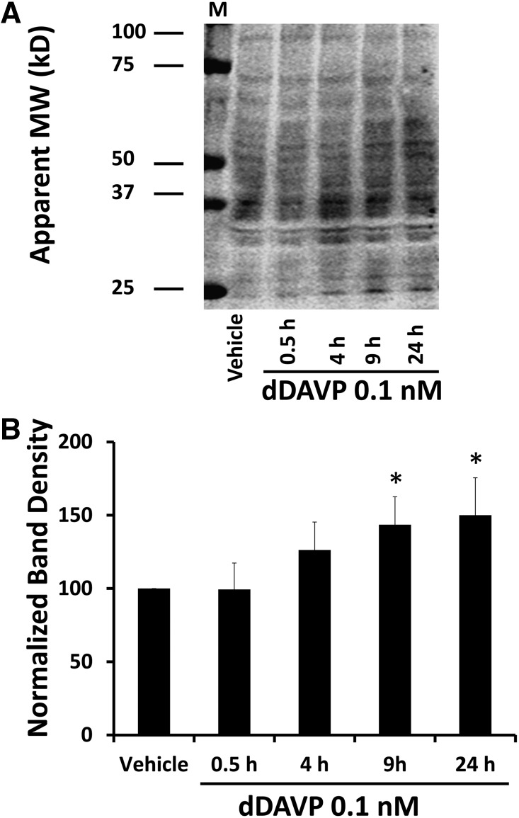 Figure 7.