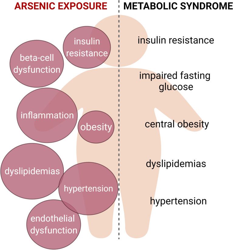 Graphical Abstract