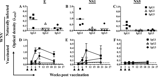 FIG. 1.