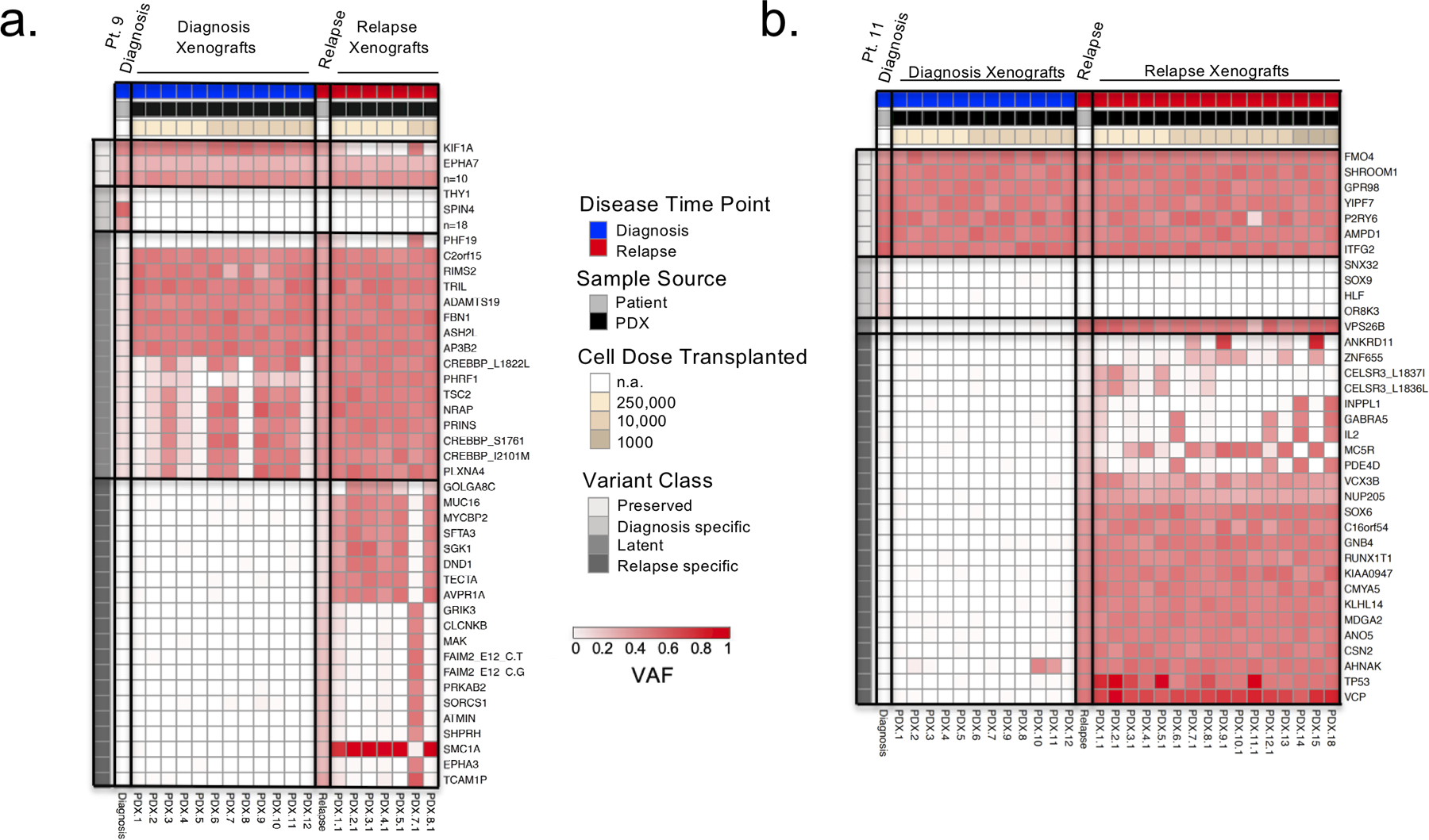 Figure 2: