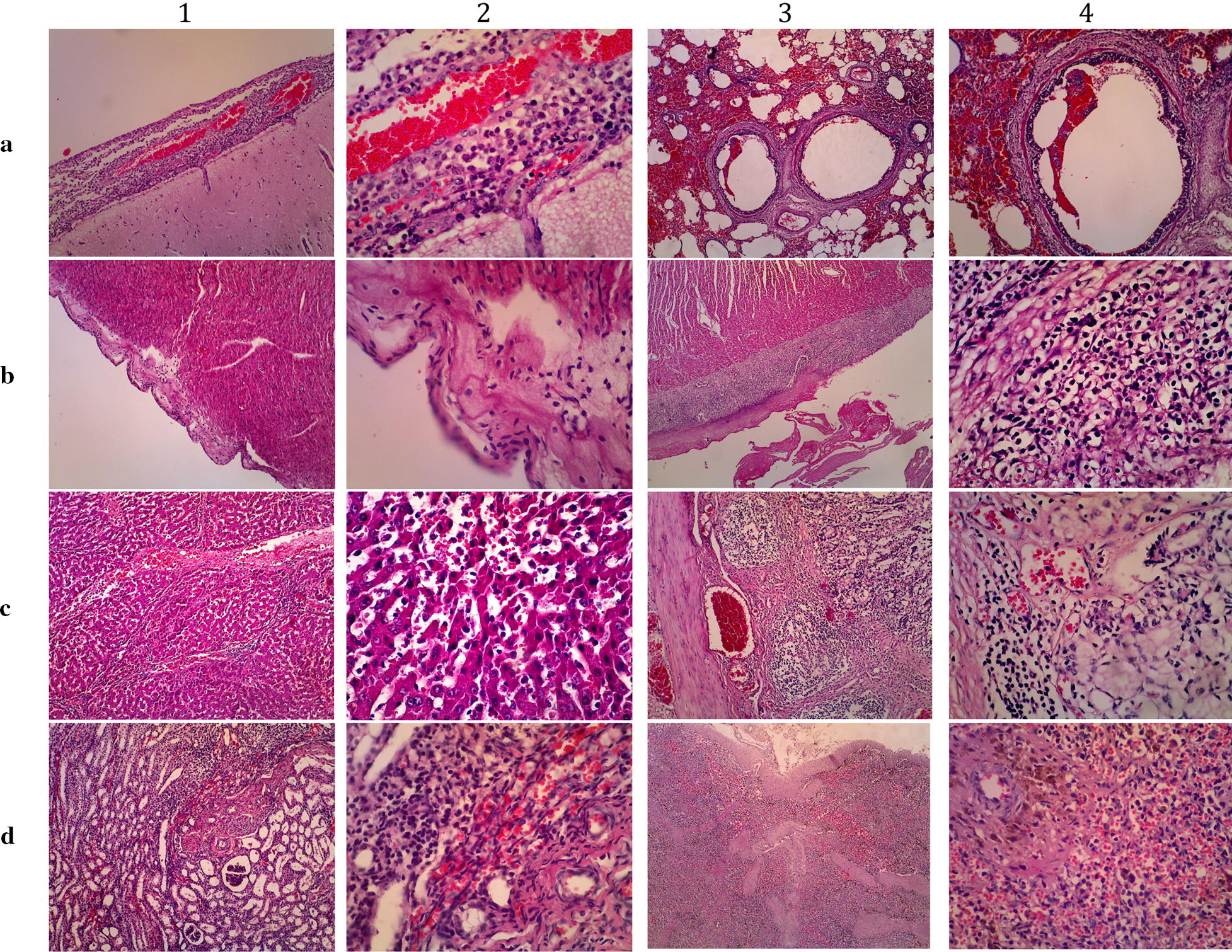 Fig. 1