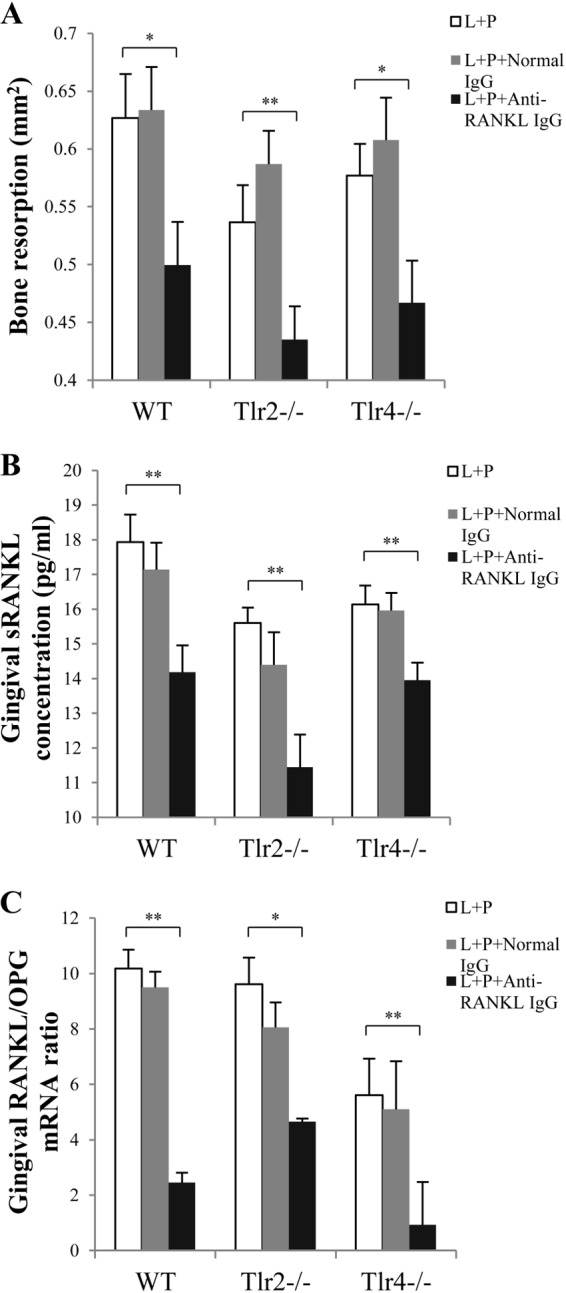 FIG 5