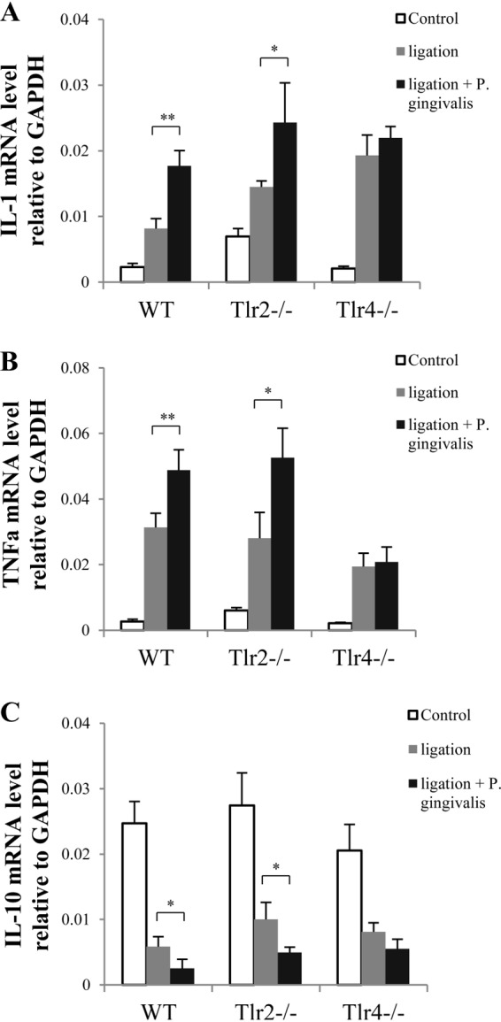 FIG 2