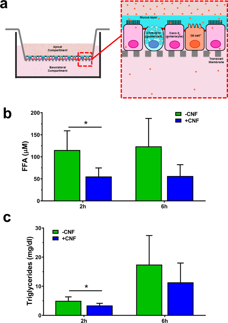 Figure 2 |