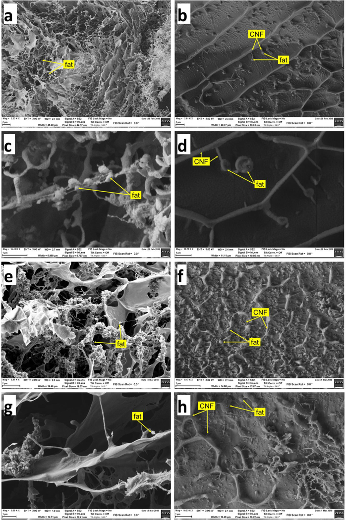 Figure 4 |