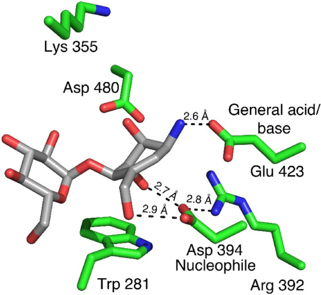 Figure 7