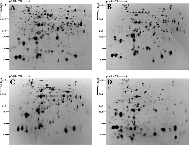 FIG. 3.