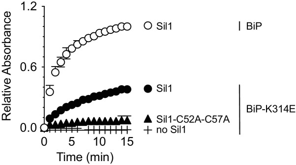 Figure 2—figure supplement 1.