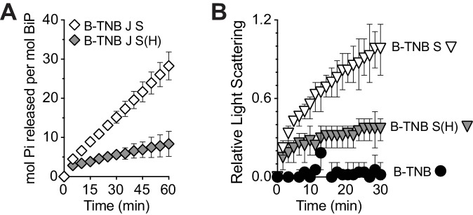 Figure 4—figure supplement 1.