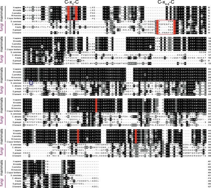 Figure 5—figure supplement 1.