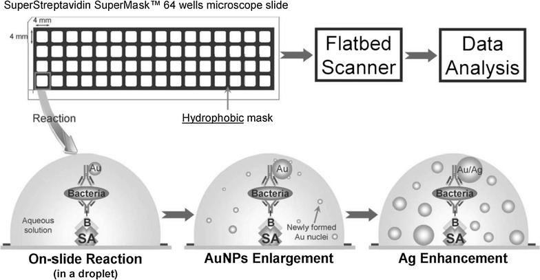 Fig. 1