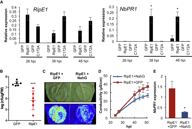 Figure 2