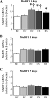Fig. 6.