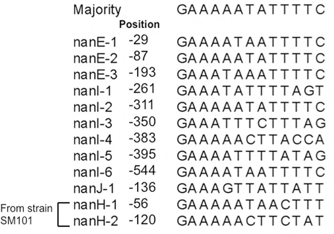 Fig 7