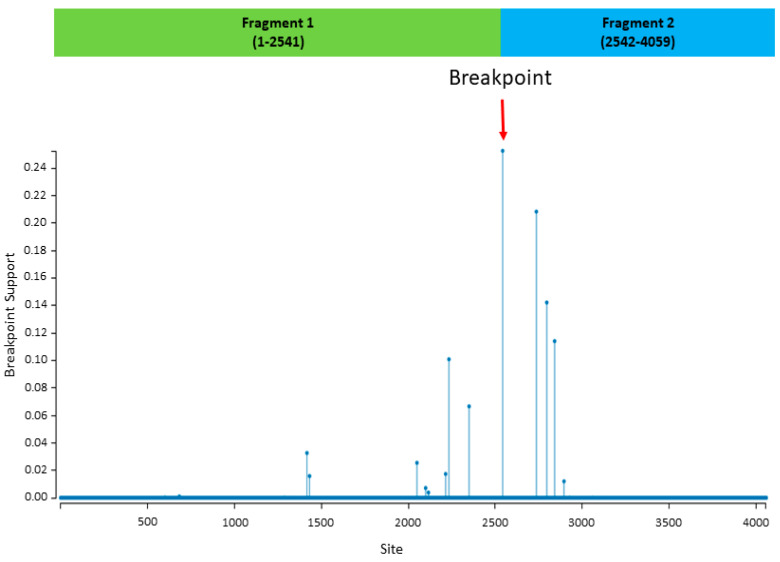 Figure 2