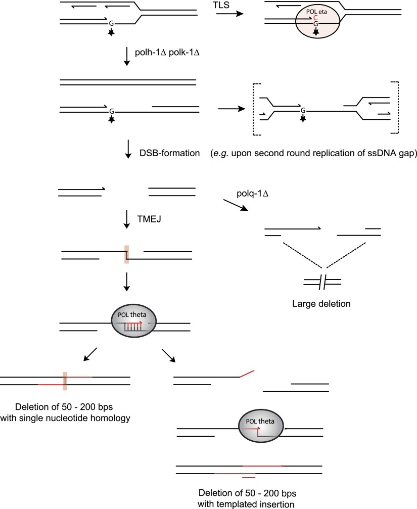 Figure 5.