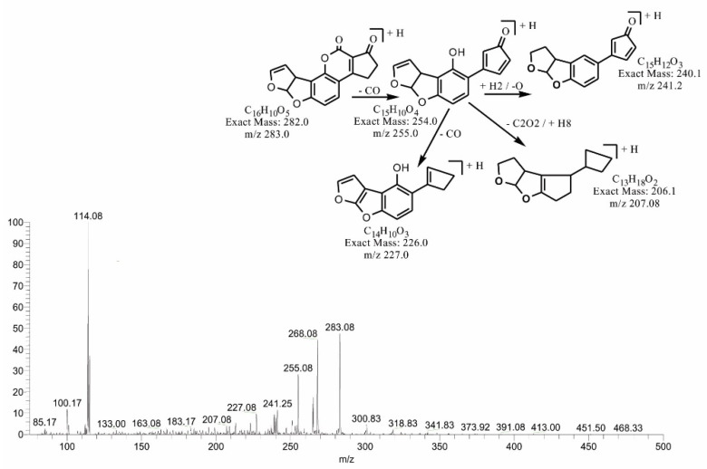 Figure 4