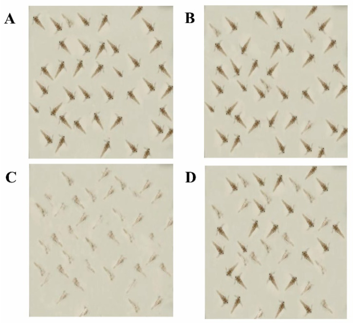 Figure 13