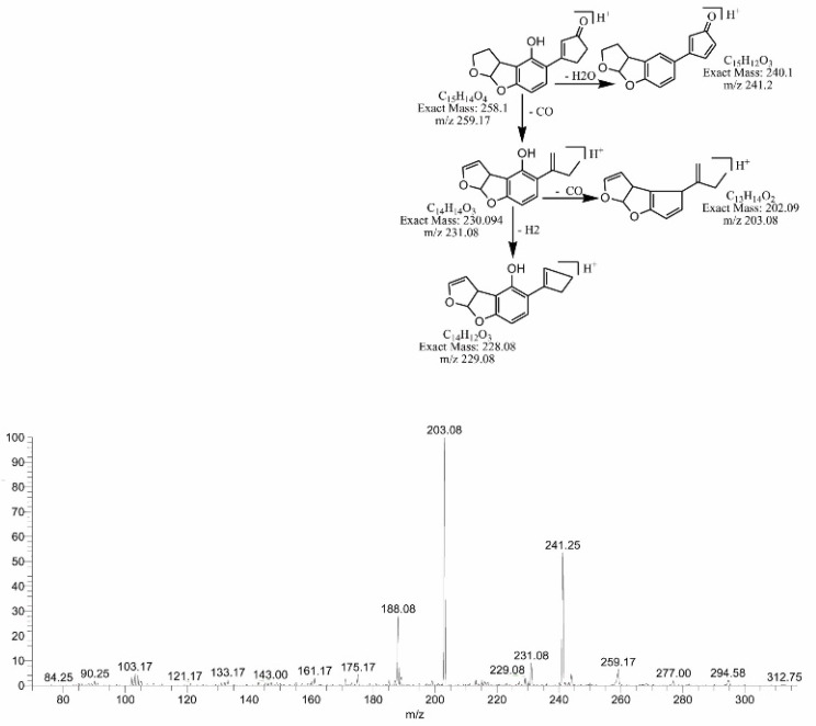 Figure 12