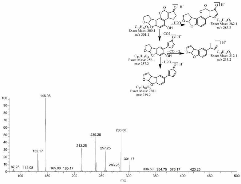 Figure 11