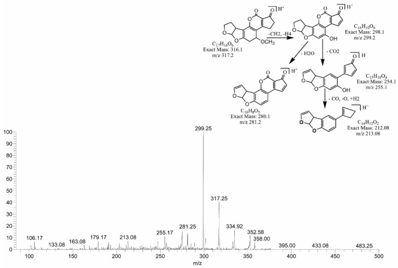 Figure 10