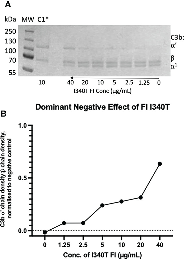 Figure 11