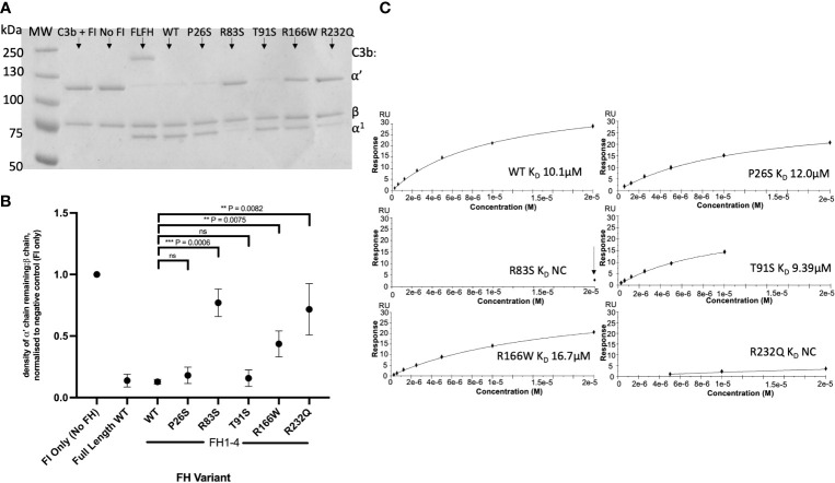 Figure 4