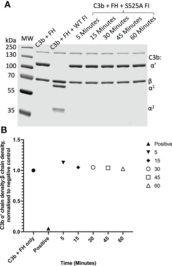 Figure 3