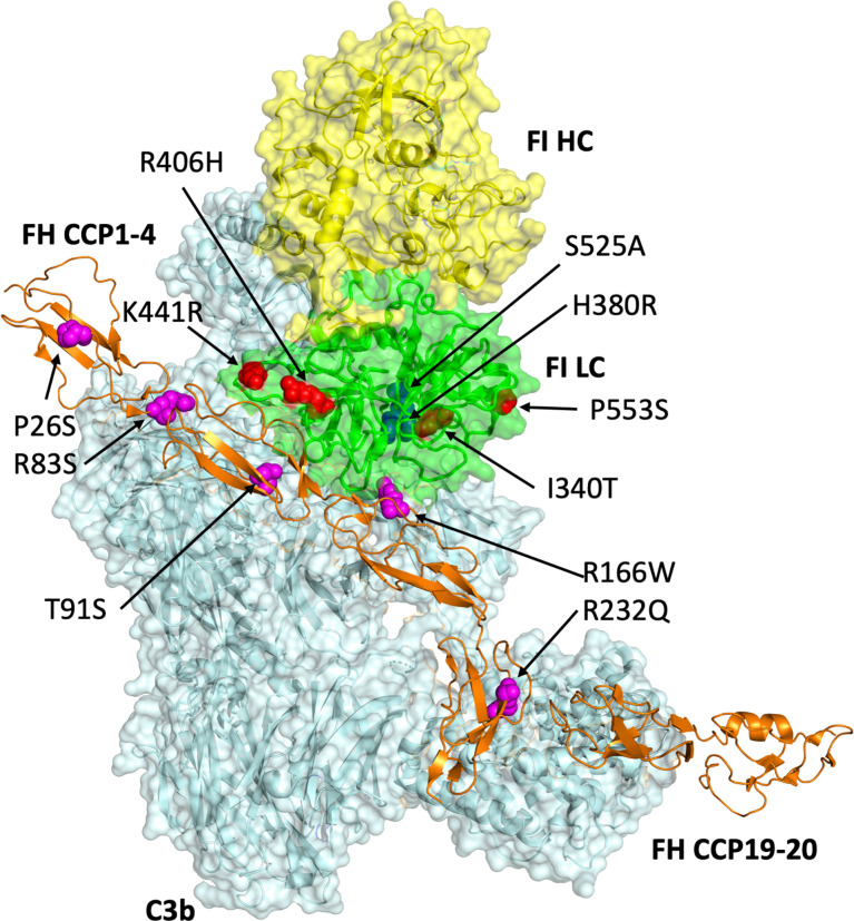 Figure 1