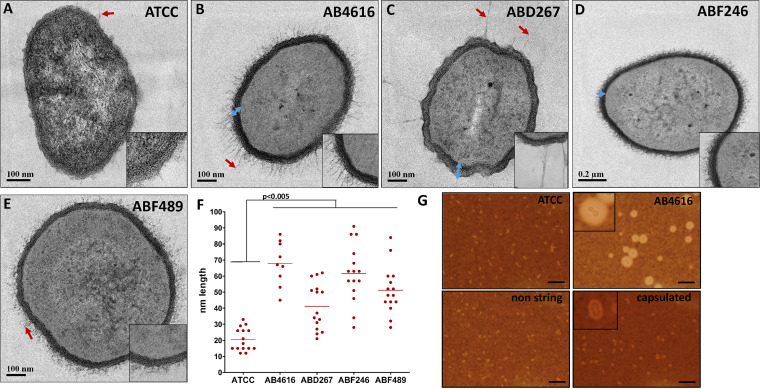 FIG 2