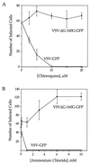 FIG. 6