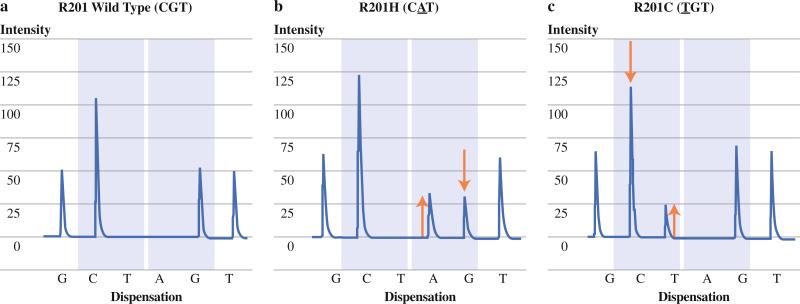 FIG. 1