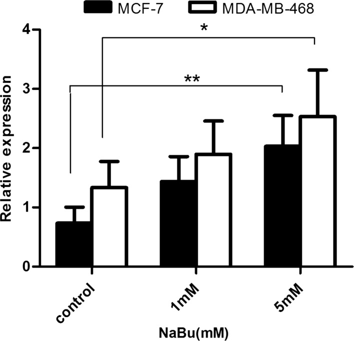 Fig. 4