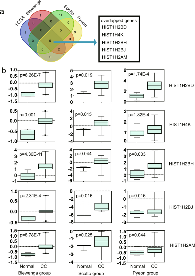 Figure 6