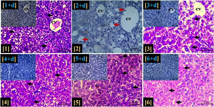 Fig. 10