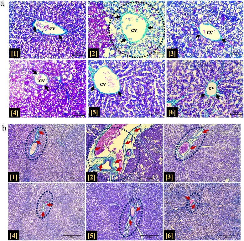 Fig. 9