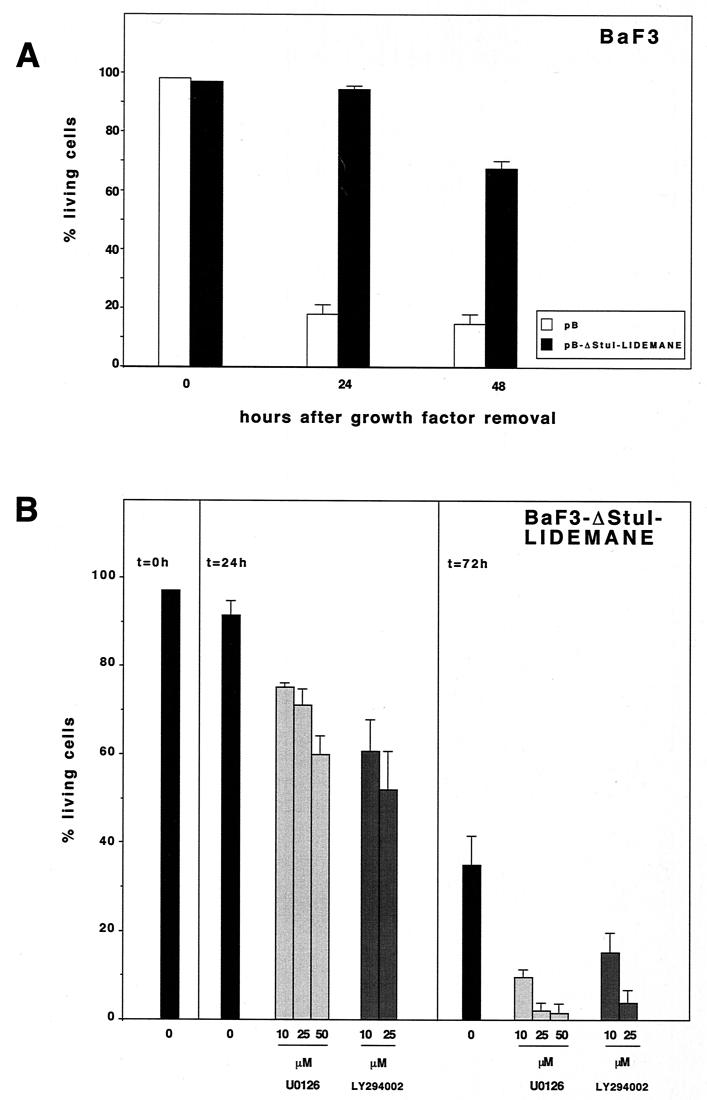 FIG. 6