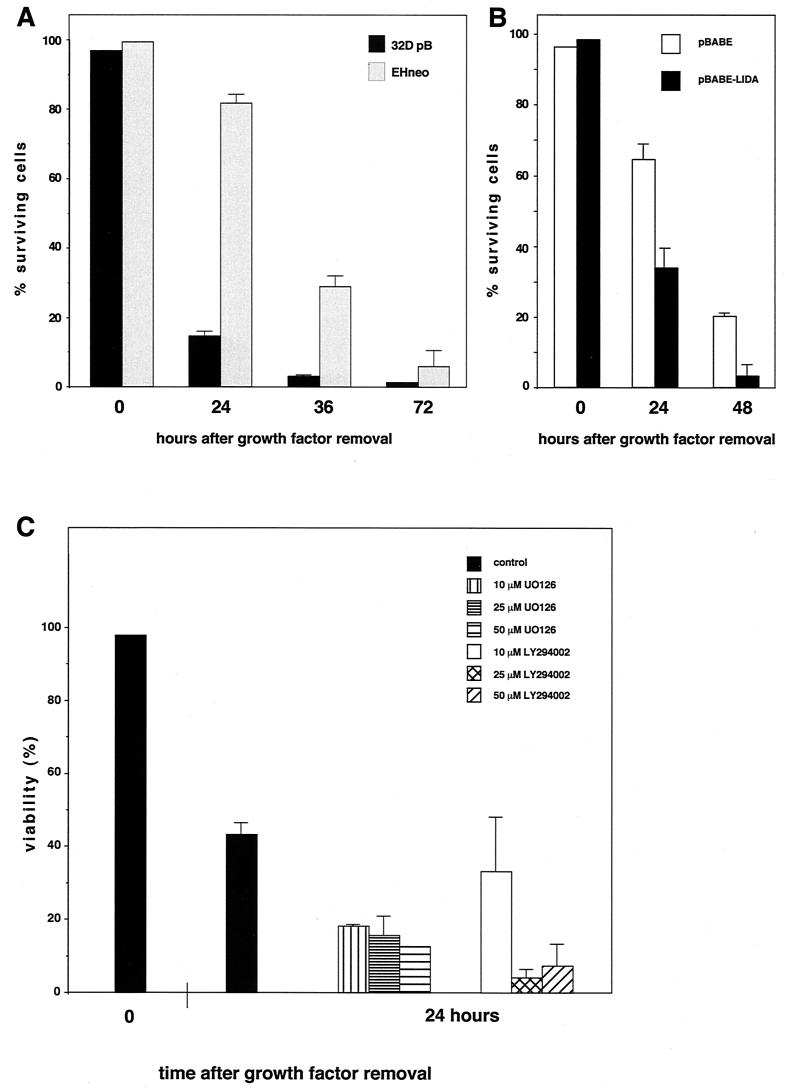 FIG. 7