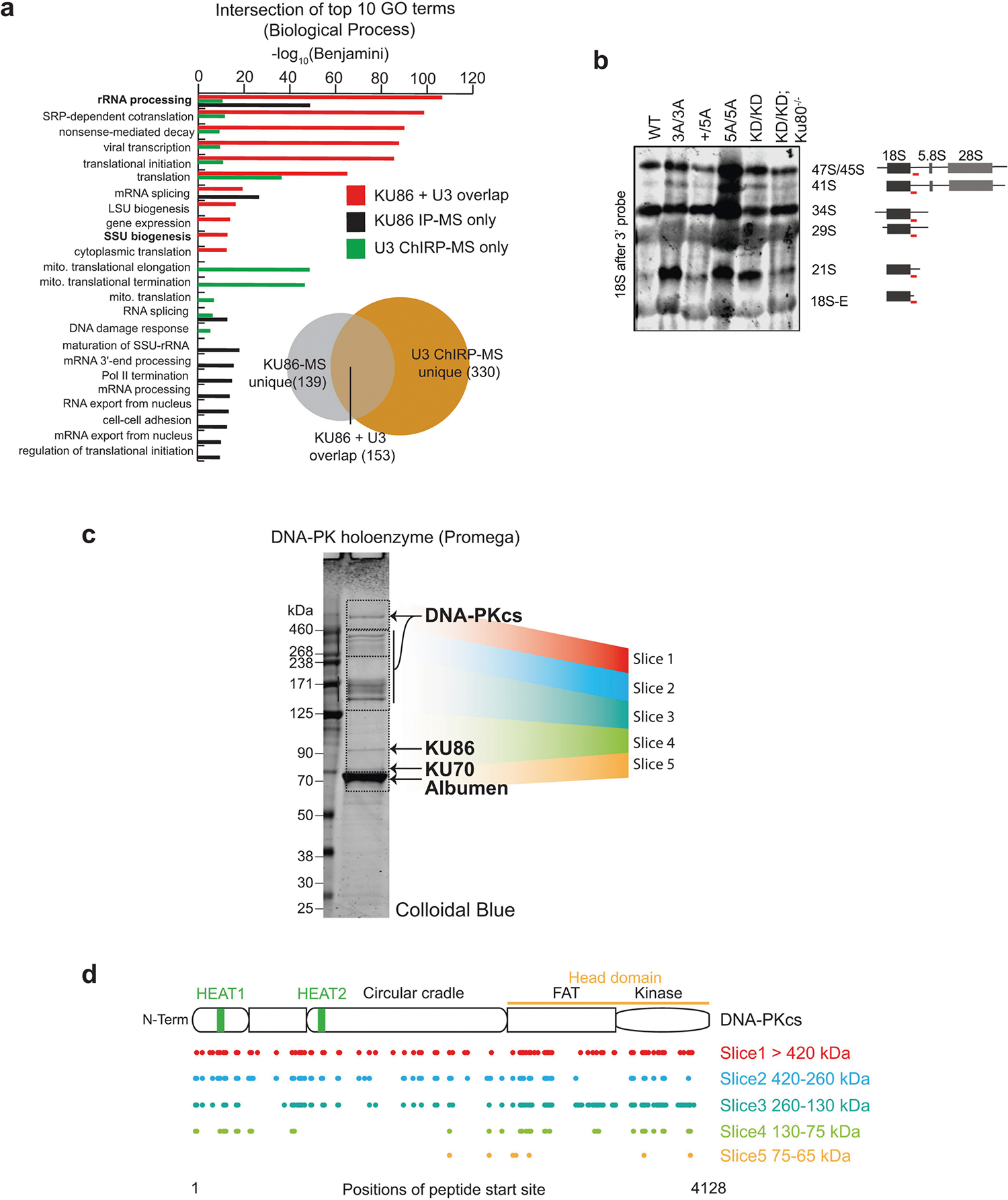 Extended Data Fig. 9 |