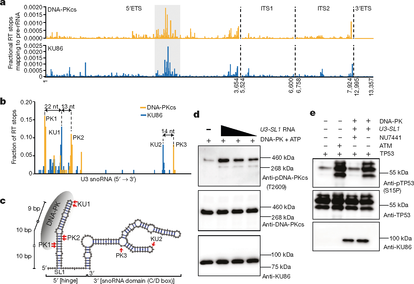 Fig. 4 |