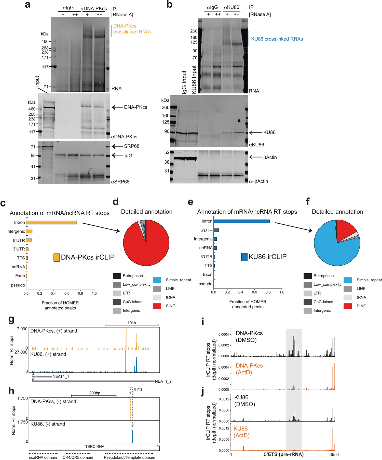 Extended Data Fig. 10 |