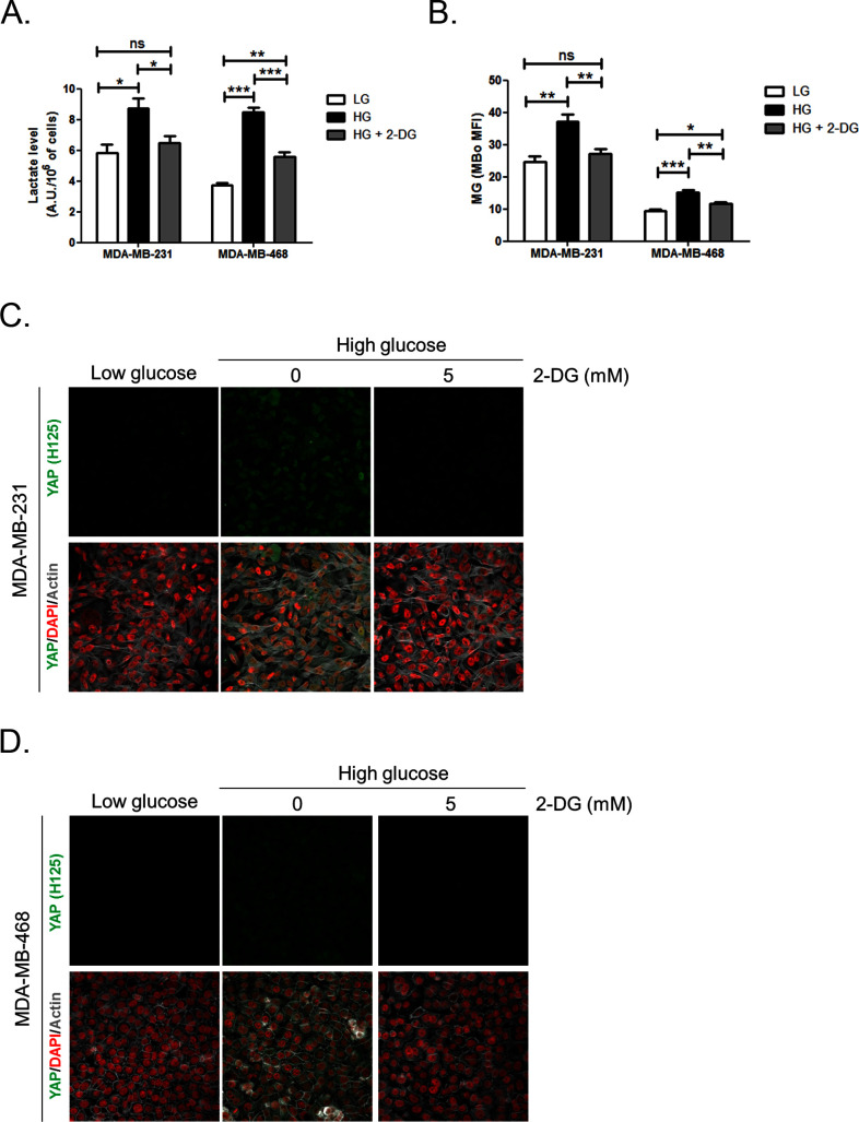 Figure 3—figure supplement 3.