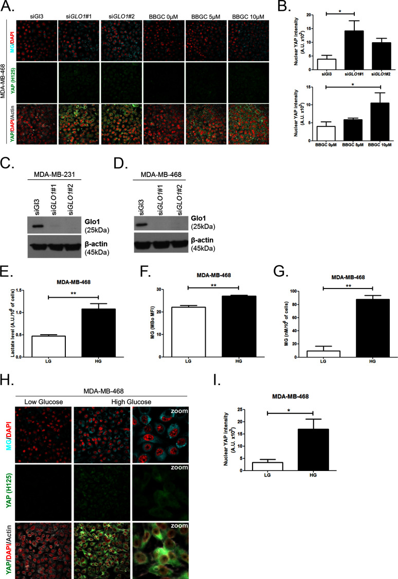 Figure 3—figure supplement 1.