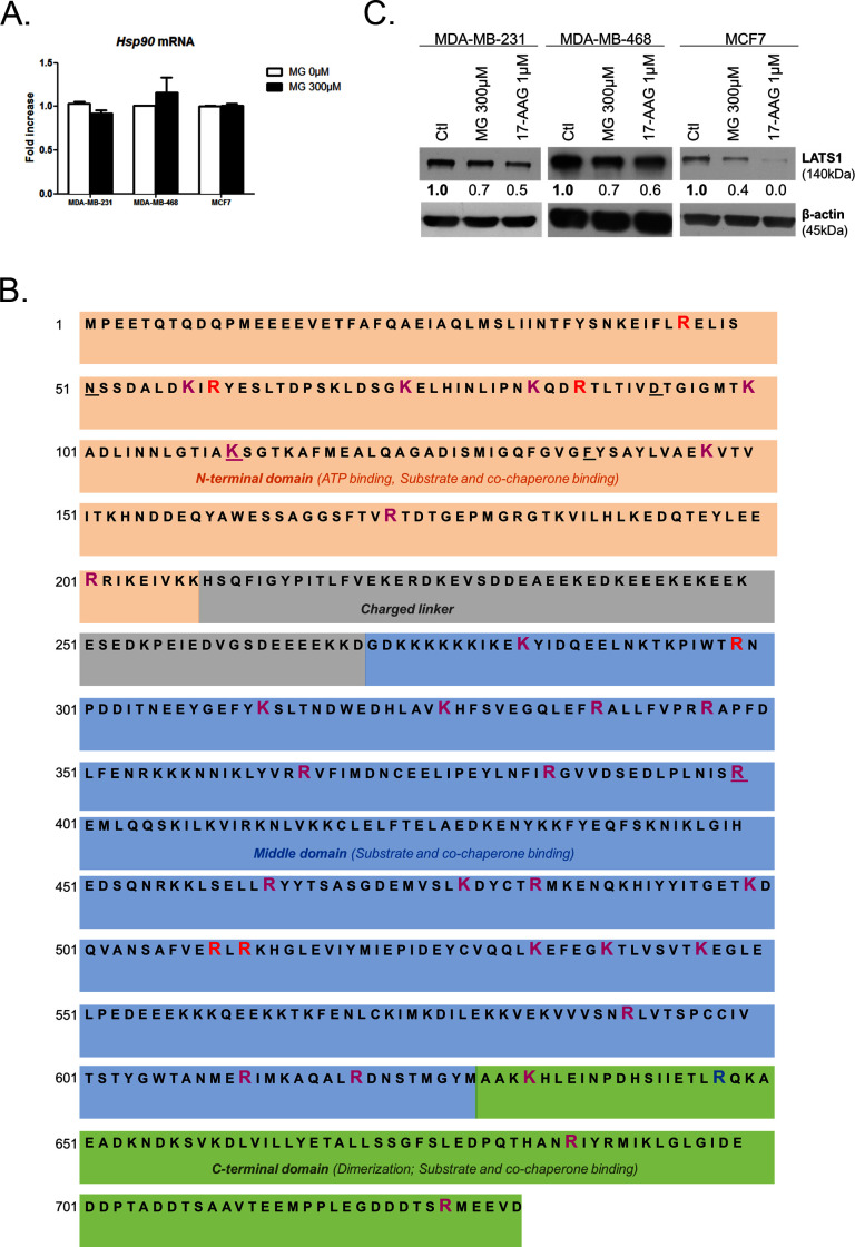 Figure 7—figure supplement 1.